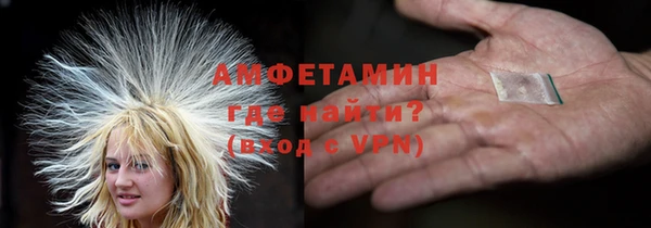 гидра Арсеньев