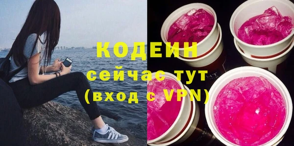 гидра Арсеньев