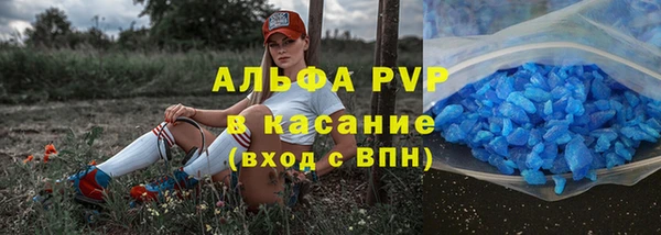 гидра Арсеньев