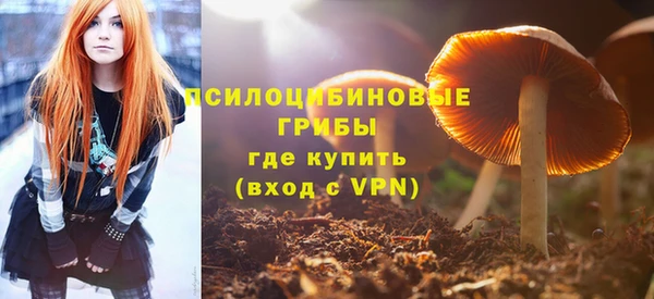 гидра Арсеньев